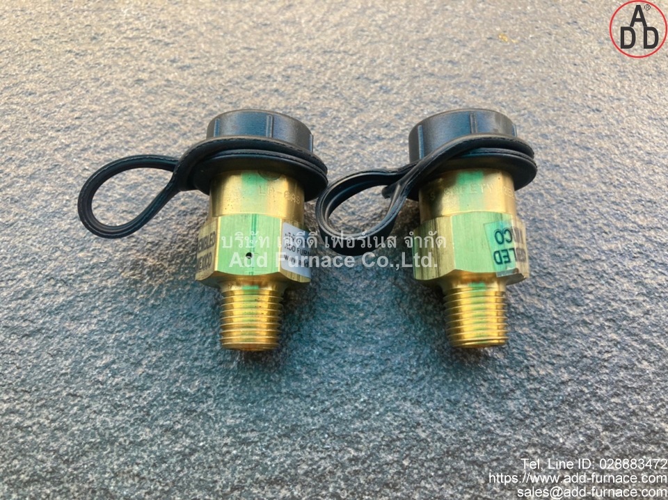 Fisher H110-250 Relief Valve(12)